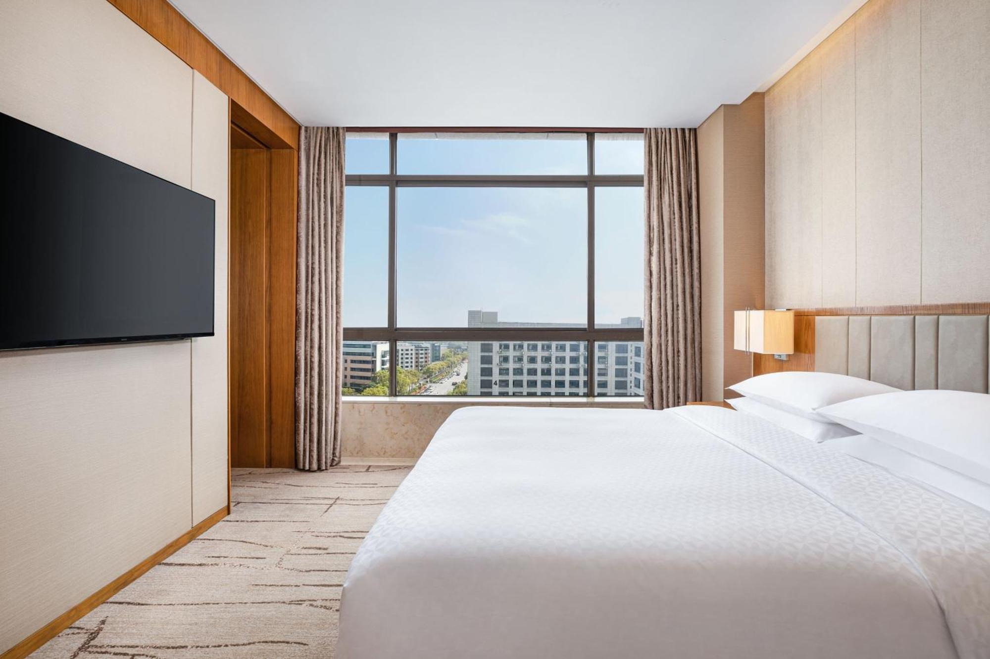 Deluxe Suite Suite 1 King City view