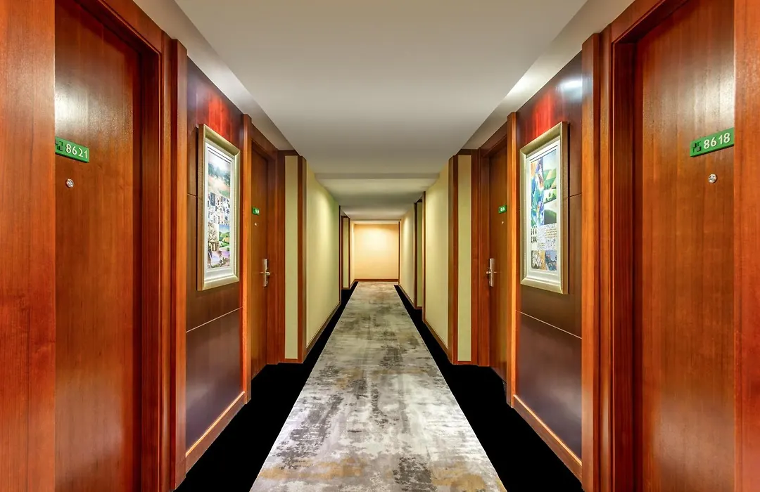 Mai Xinge Boutique Hotel - Free Shuttle Buses Are Provided Between Pvg Airport And Disneyland-1