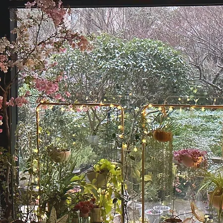 First Glimpse To Shanghai-Lujiazui-Sniec-Bund-Disney Villa Garden Loft-3