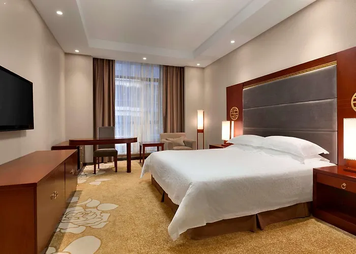 Huisdiervriedelijke Ramada Shanghai Minhang